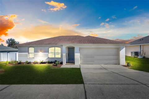 1009 BLUEGRASS DRIVE GROVELAND FL 34736