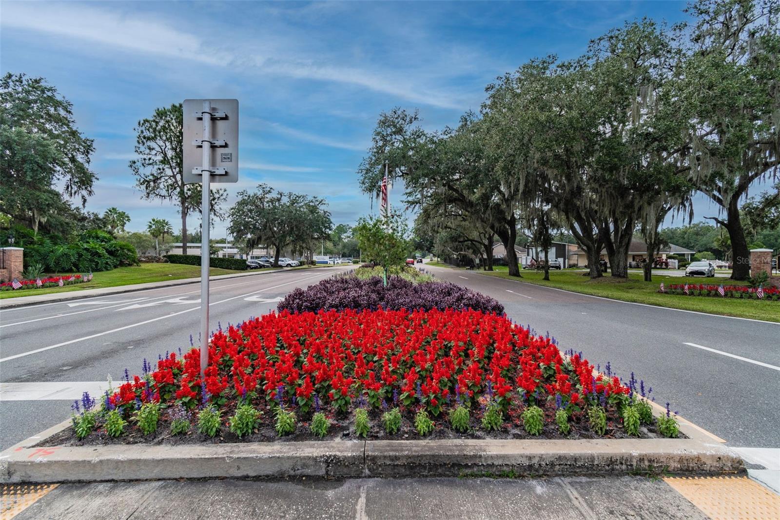 THE PADDOCKS PH II - Residential
