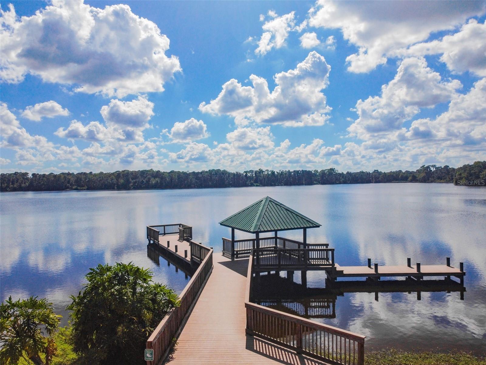 THE PADDOCKS PH II - Residential