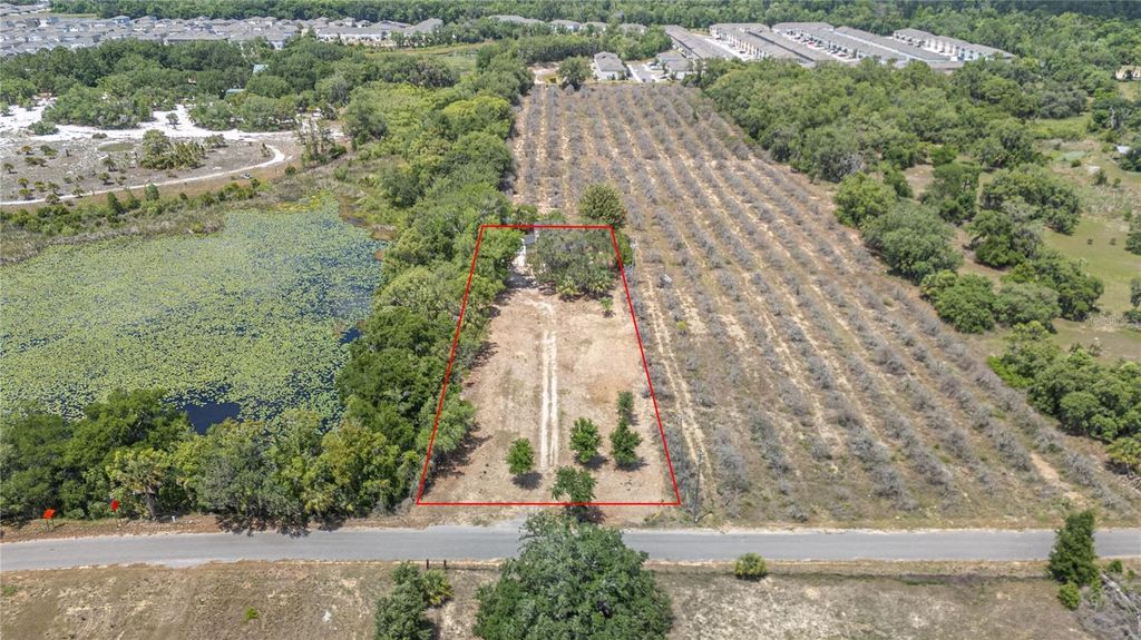 Photo of 1920 E Palm Street, Davenport, FL 33837 (MLS # L4961547)