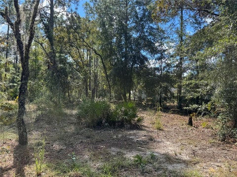 Tiny photo for 21 SW 157th Court, Ocala, FL 34481 (MLS # OM734391)