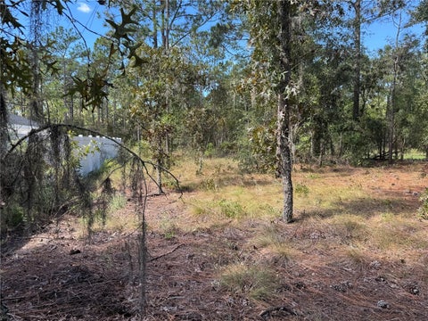 Tiny photo for 21 SW 157th Court, Ocala, FL 34481 (MLS # OM734391)