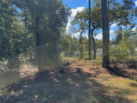 Tiny photo for 21 SW 157th Court, Ocala, FL 34481 (MLS # OM734391)