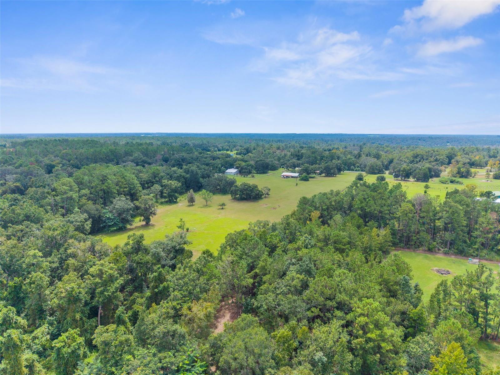 SPRING LAKE FOREST - Residential