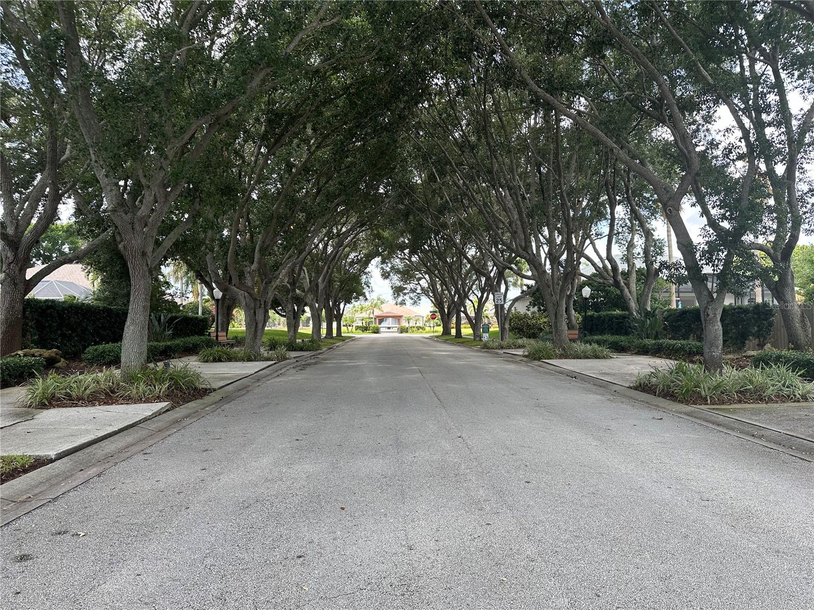 BRIDGEWATER PH 01 - Residential