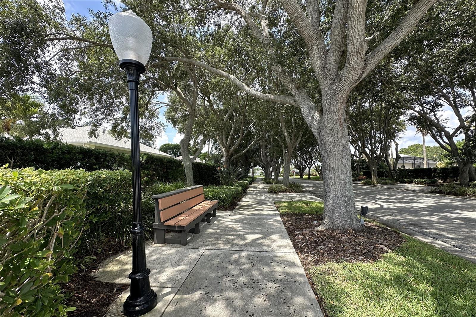 BRIDGEWATER PH 01 - Residential