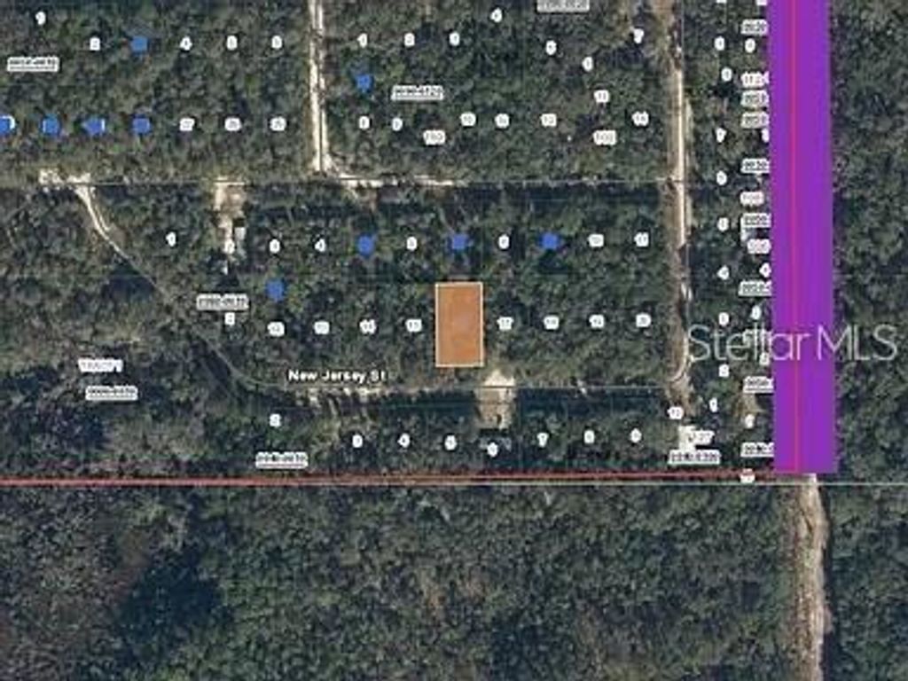 Photo of 118 New Jersey Street, Satsuma, FL 32189 (MLS # FC314229)