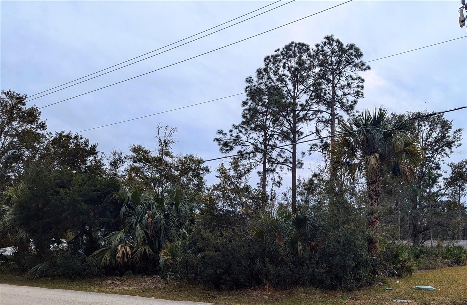 PALM COAST SEC 26 - Land