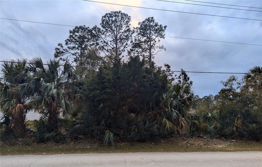 Fantastic lot in the heart of Palm Coast!  Located in the desirable Pine Grove neighborhood, this lot is the ideal spot to build your dream home- you pick your builder and build when you are ready!
Quick access to Belle Terre Parkway so you are just minutes to shopping, schools, biking/walking trails, parks, and the Southern Rec Center. Just a short drive from beautiful beaches and the Intracoastal Waterway so you can enjoy all the best things about the Sunshine State!