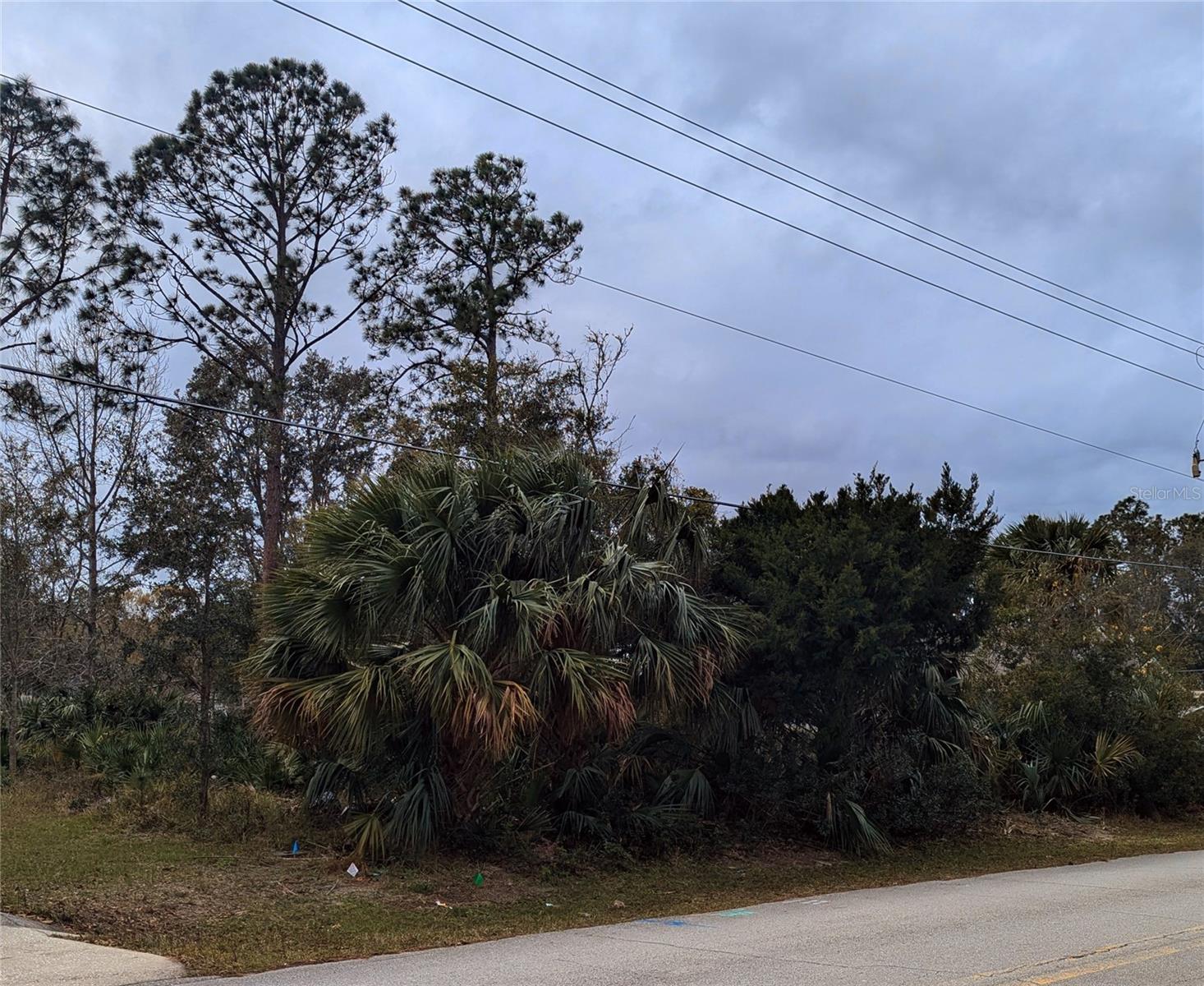 PALM COAST SEC 26 - Land