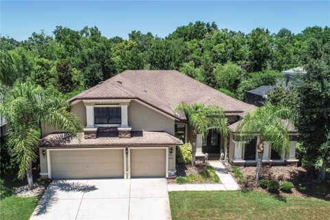 15141 AZRA DRIVE ODESSA FL 33556