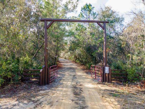 Tiny photo for 5600 NE Nfr 5 Rd, Silver Springs, FL 34488 (MLS # OM715653)