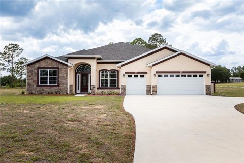 Photo of 41289 County Road 452, Leesburg, FL 34788 (MLS # V4948613)