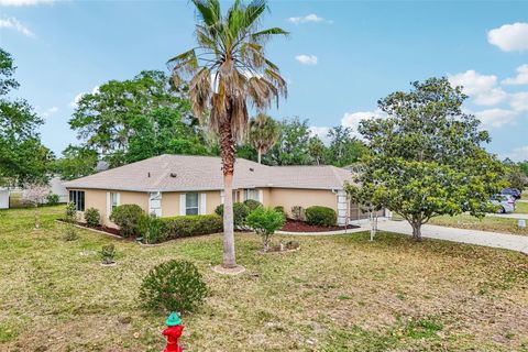 Tiny photo for 86 Bahia Trace Trail, Ocala, FL 34472 (MLS # OM724651)