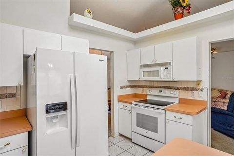 Tiny photo for 86 Bahia Trace Trail, Ocala, FL 34472 (MLS # OM724651)