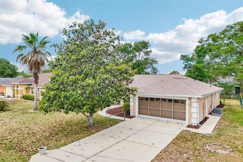 Tiny photo for 86 Bahia Trace Trail, Ocala, FL 34472 (MLS # OM724651)