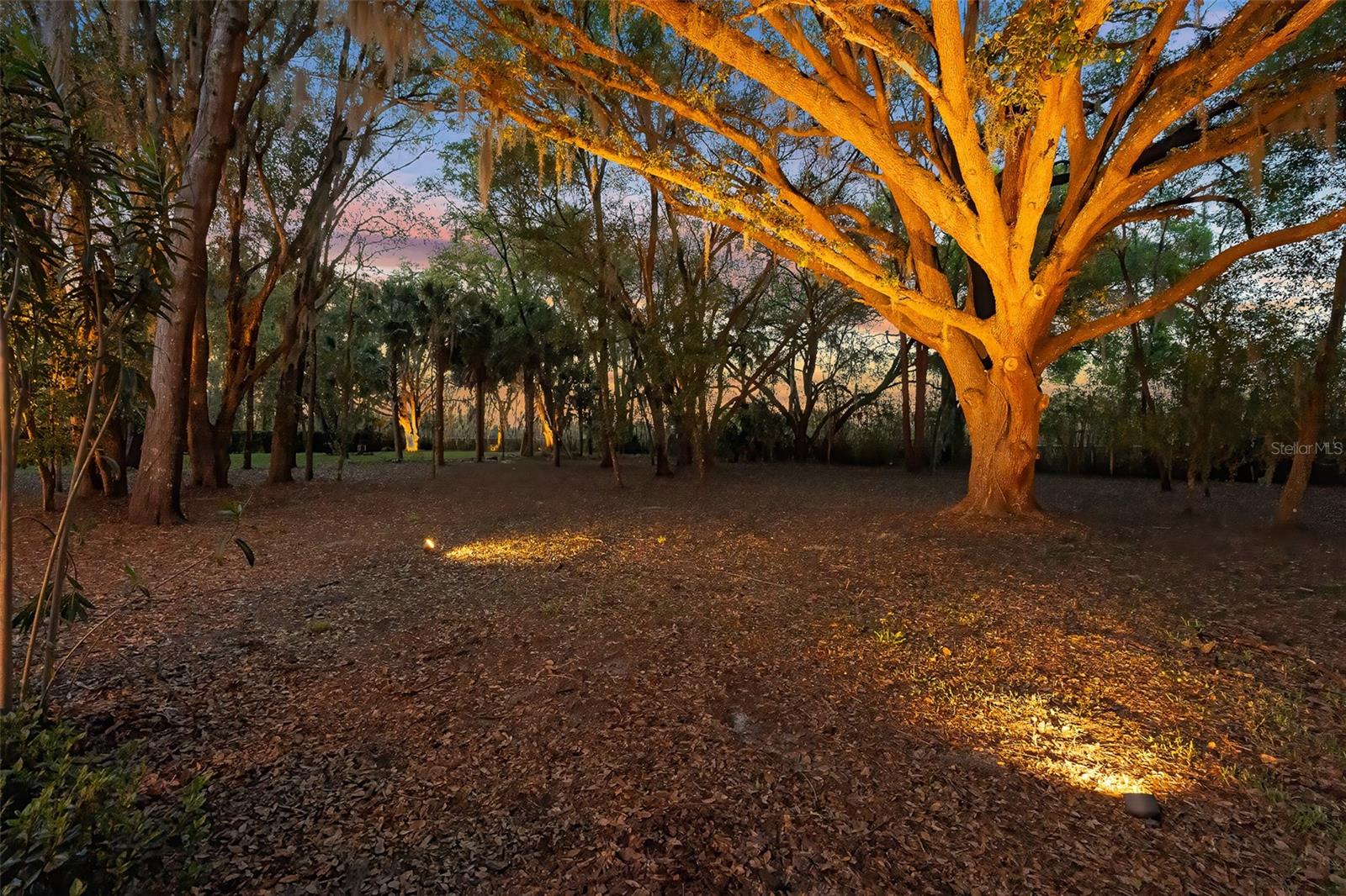 BELLA FORESTA - Residential