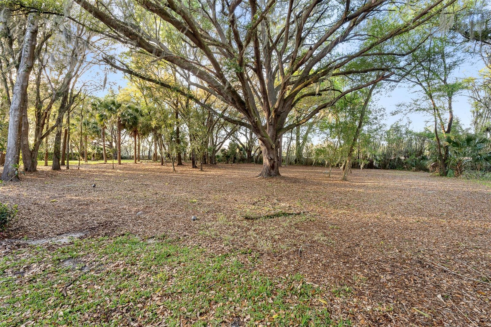 BELLA FORESTA - Residential