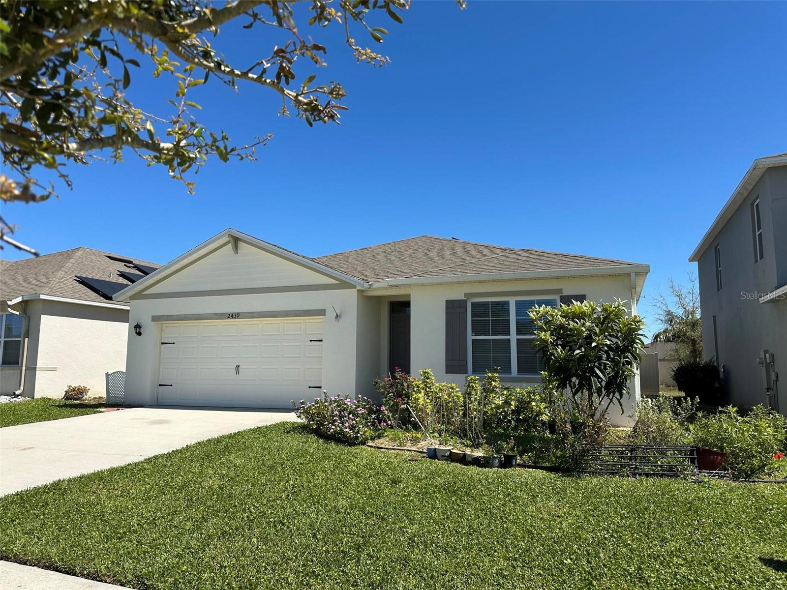 2439 WHITE LILLY DRIVE