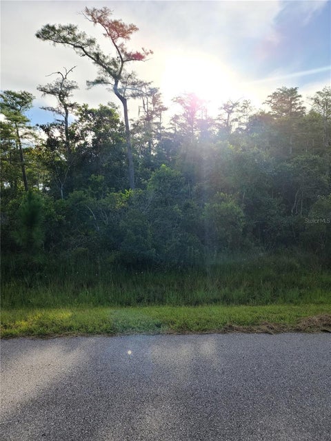 Photo of Pierre Avenue #Lot 162, Saint Cloud, FL 34773 (MLS # S5158055)