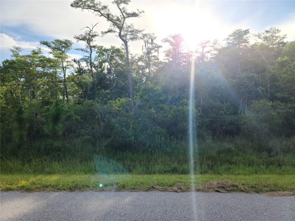 Photo of Pierre Avenue #Lot 162, Saint Cloud, FL 34773 (MLS # S5158055)