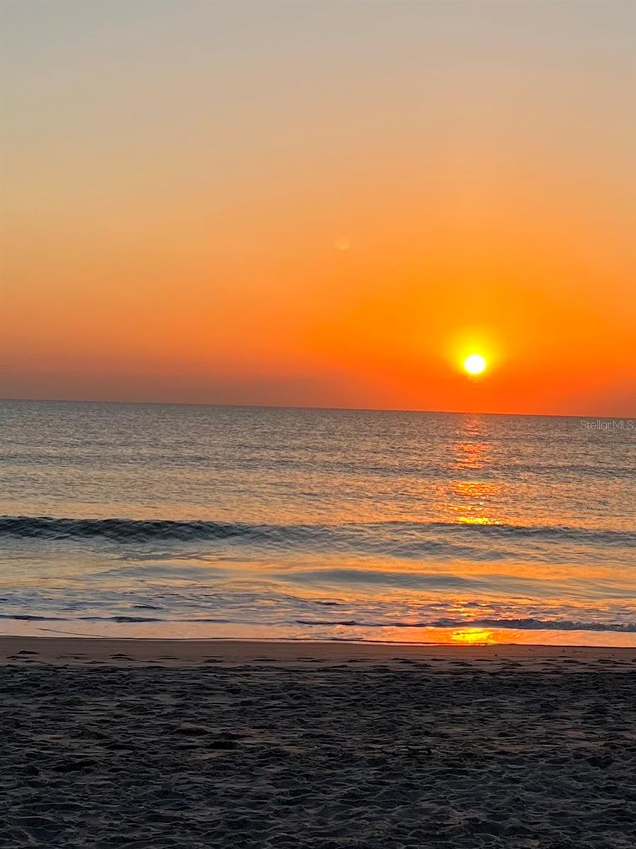 INDIALANTIC ONE - Residential