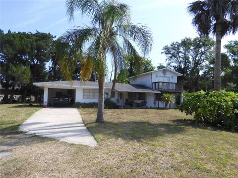 Photo of 1627 Umbrella Tree Drive, Edgewater, FL 32132 (MLS # NS1084833)