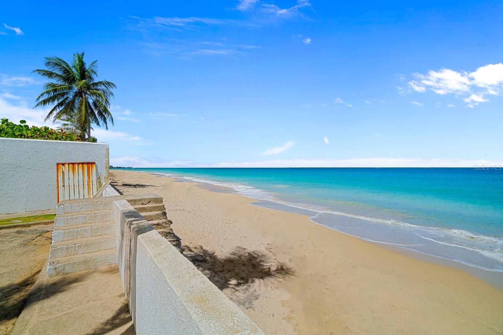 OCEAN PARK - Residential Income