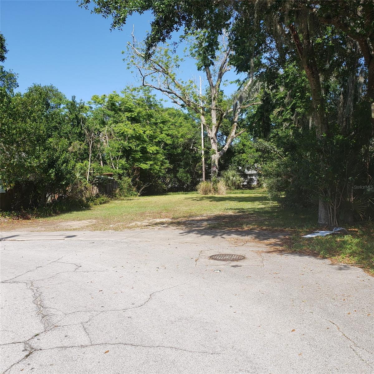 Sheldons New Smyrna - Land