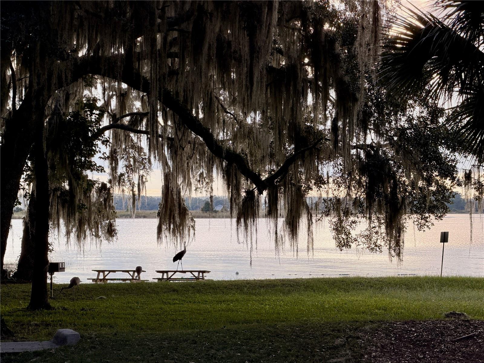 SALT SPRINGS RESORT - Residential