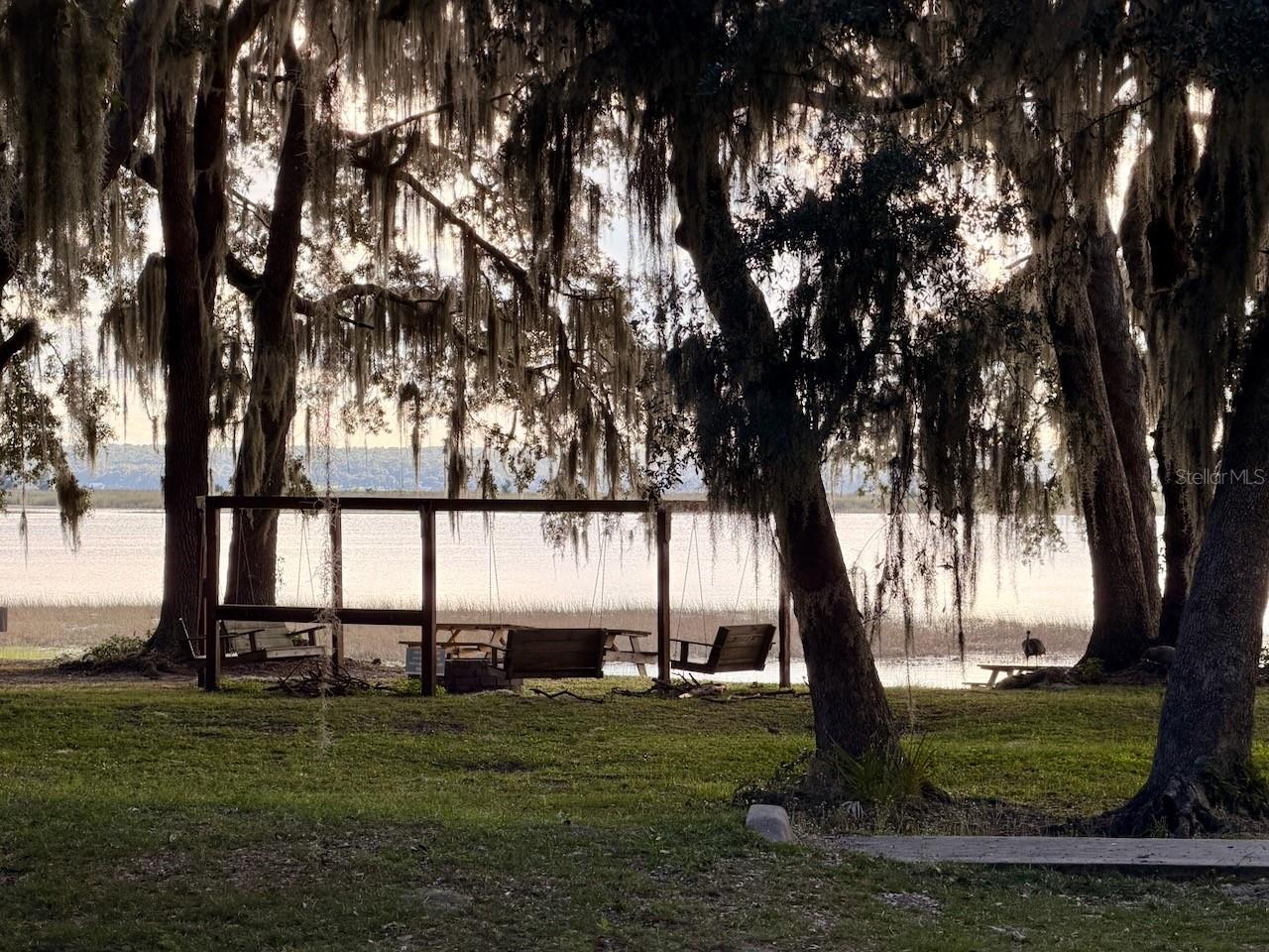 SALT SPRINGS RESORT - Residential