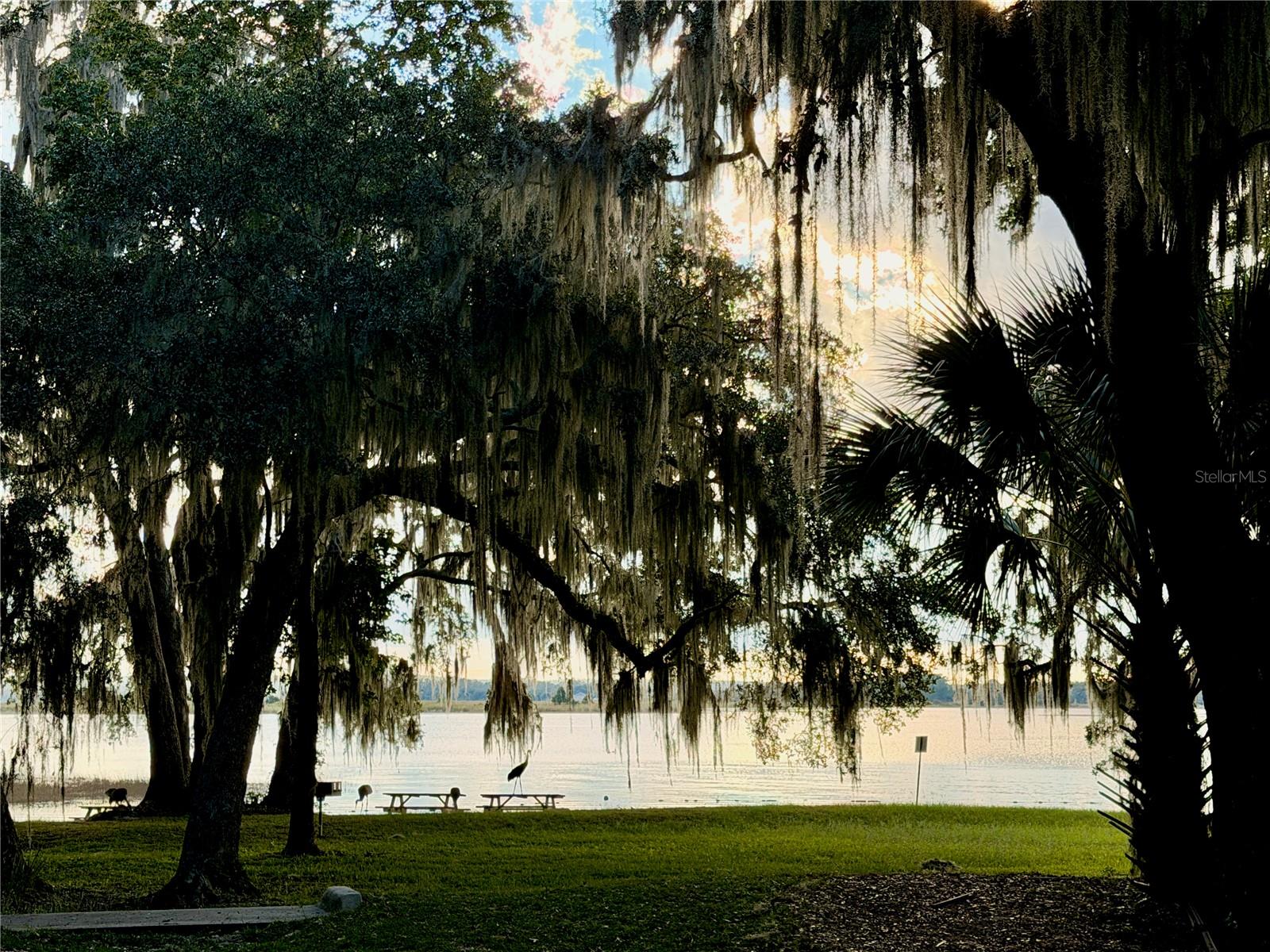 SALT SPRINGS RESORT - Residential