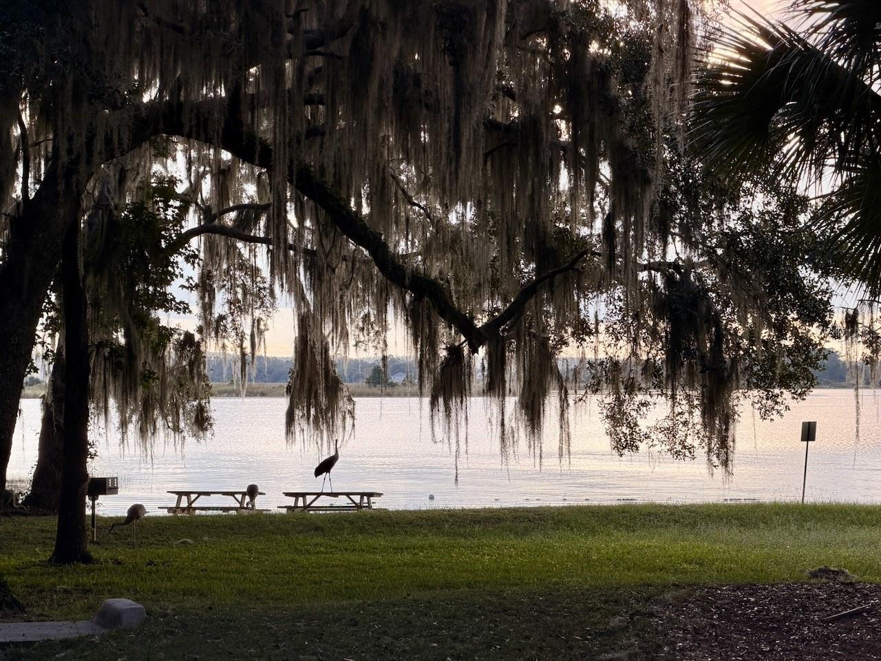 SALT SPRINGS RESORT - Residential
