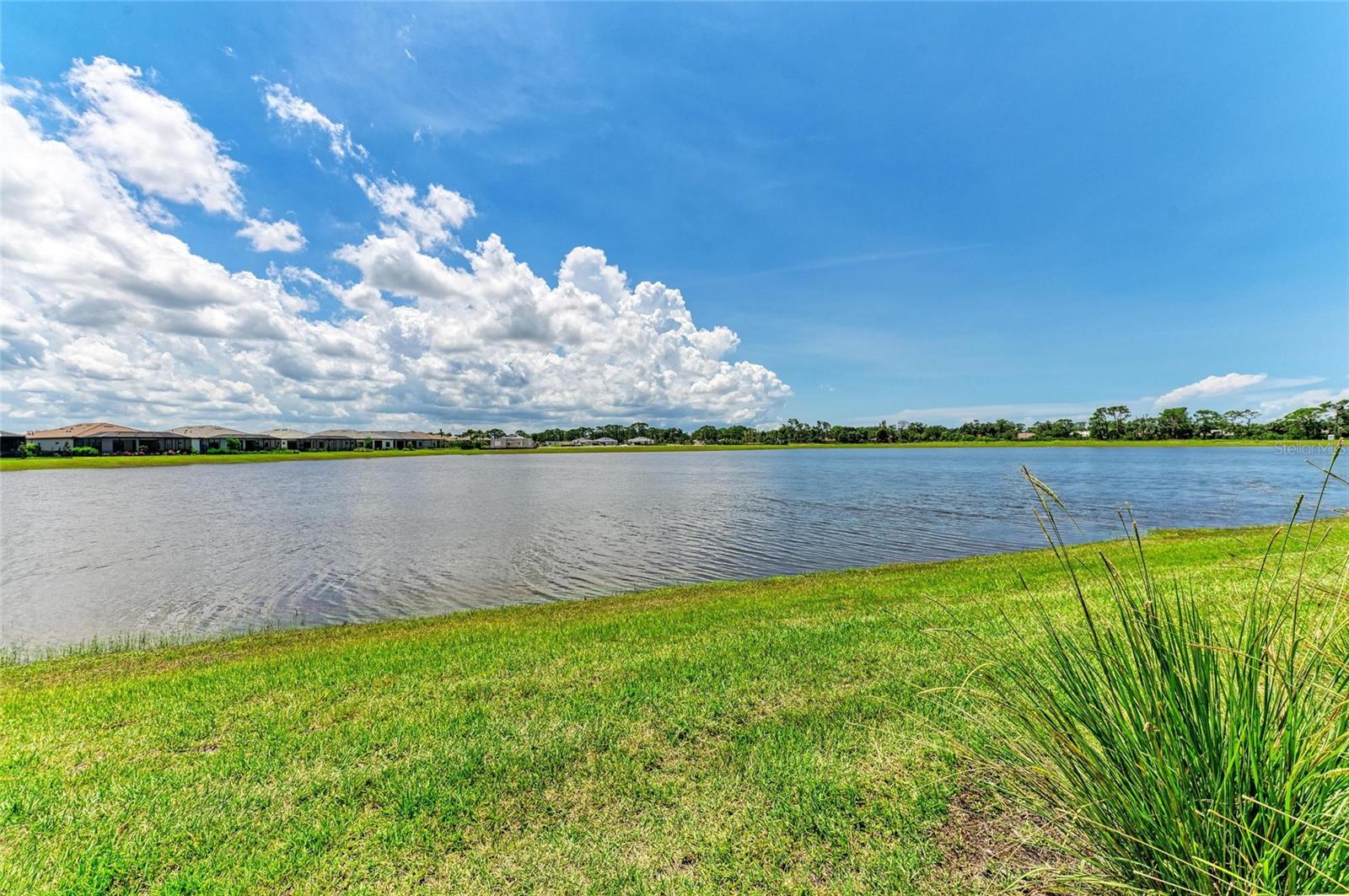 TALON PRESERVE ON PALMER RANCH - Residential