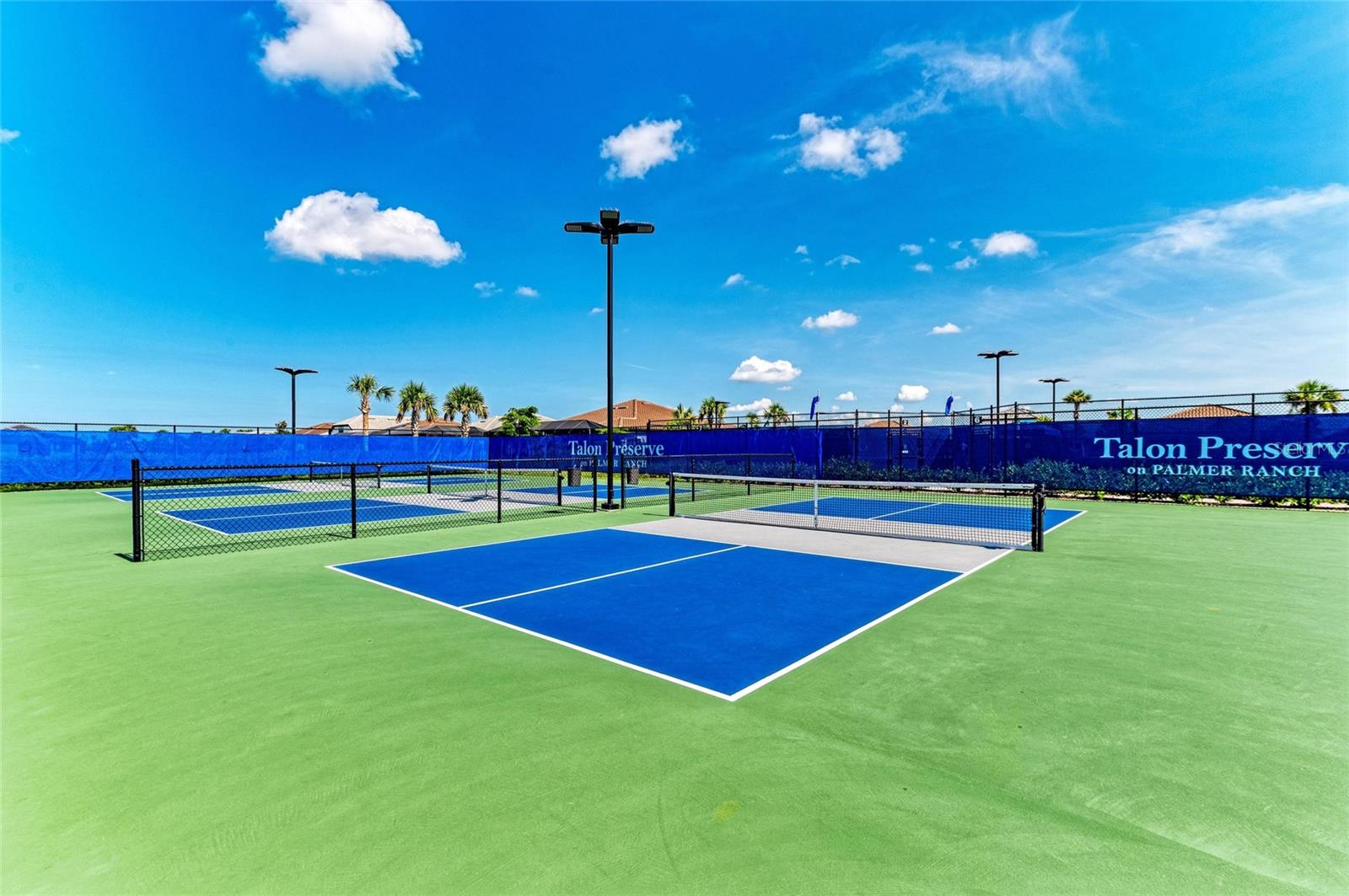 TALON PRESERVE ON PALMER RANCH - Residential