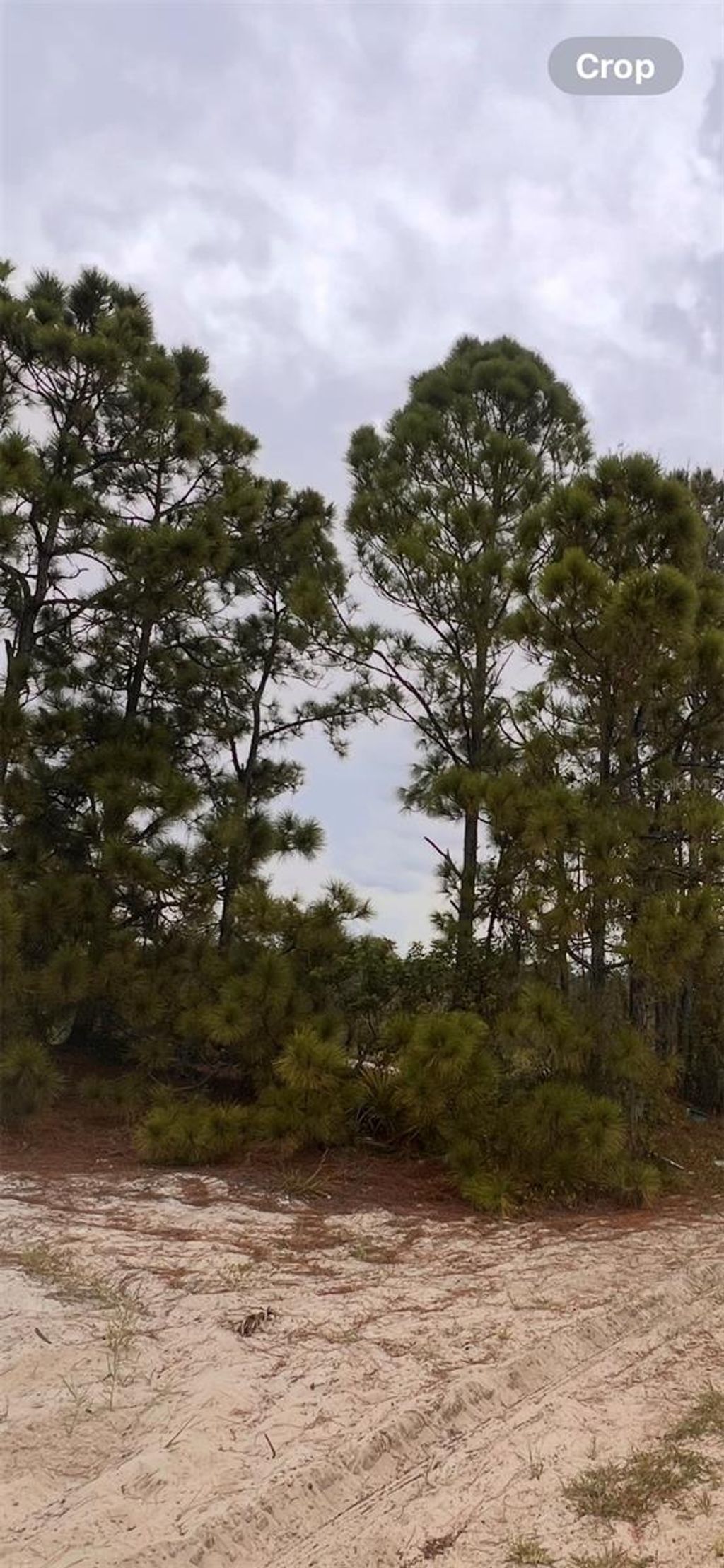 Photo of 324 Cinema Drive, Lake Placid, FL 33852 (MLS # O6342799)