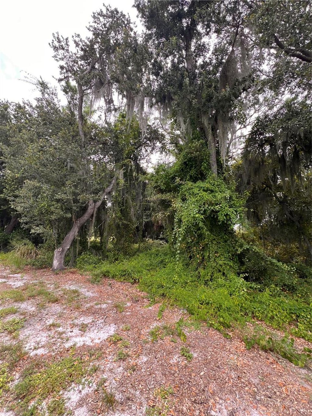 Photo of 324 Cinema Drive, Lake Placid, FL 33852 (MLS # O6342799)