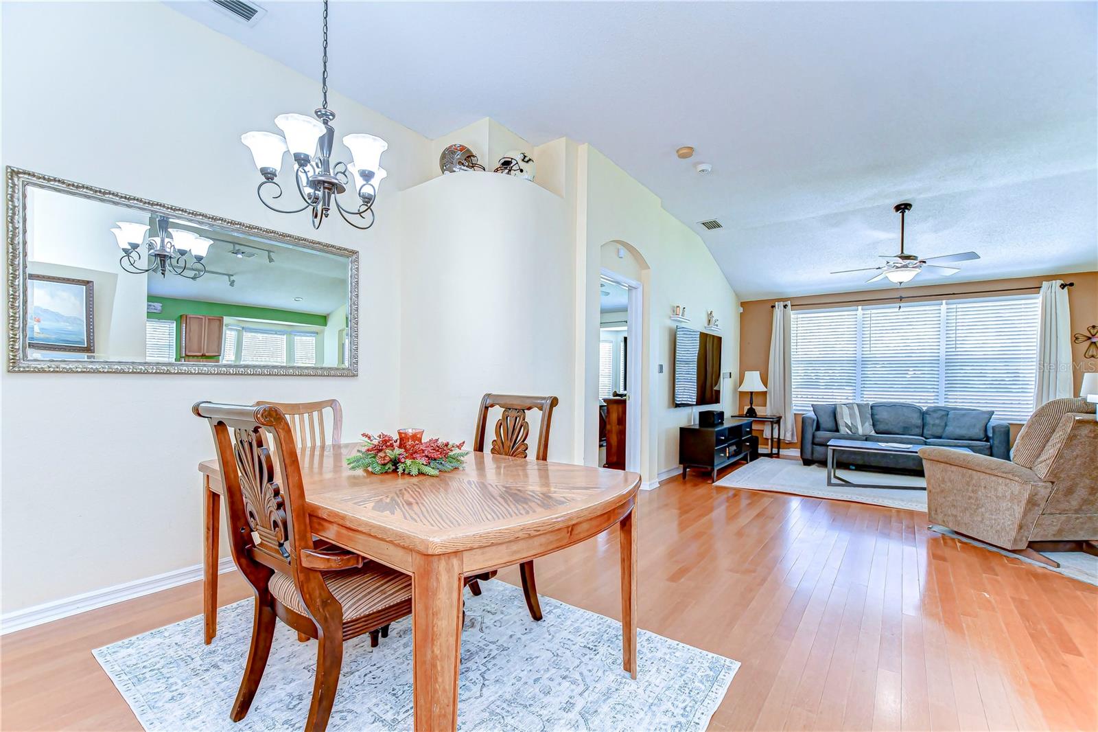 4503 LACE CASCADE COURT