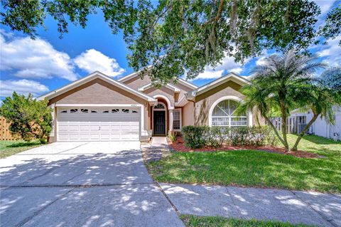 4503 LACE CASCADE COURT LUTZ FL 33558