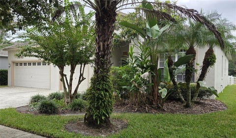 Photo of 19205 Meadow Pine Drive, Tampa, FL 33647 (MLS # O6447225)