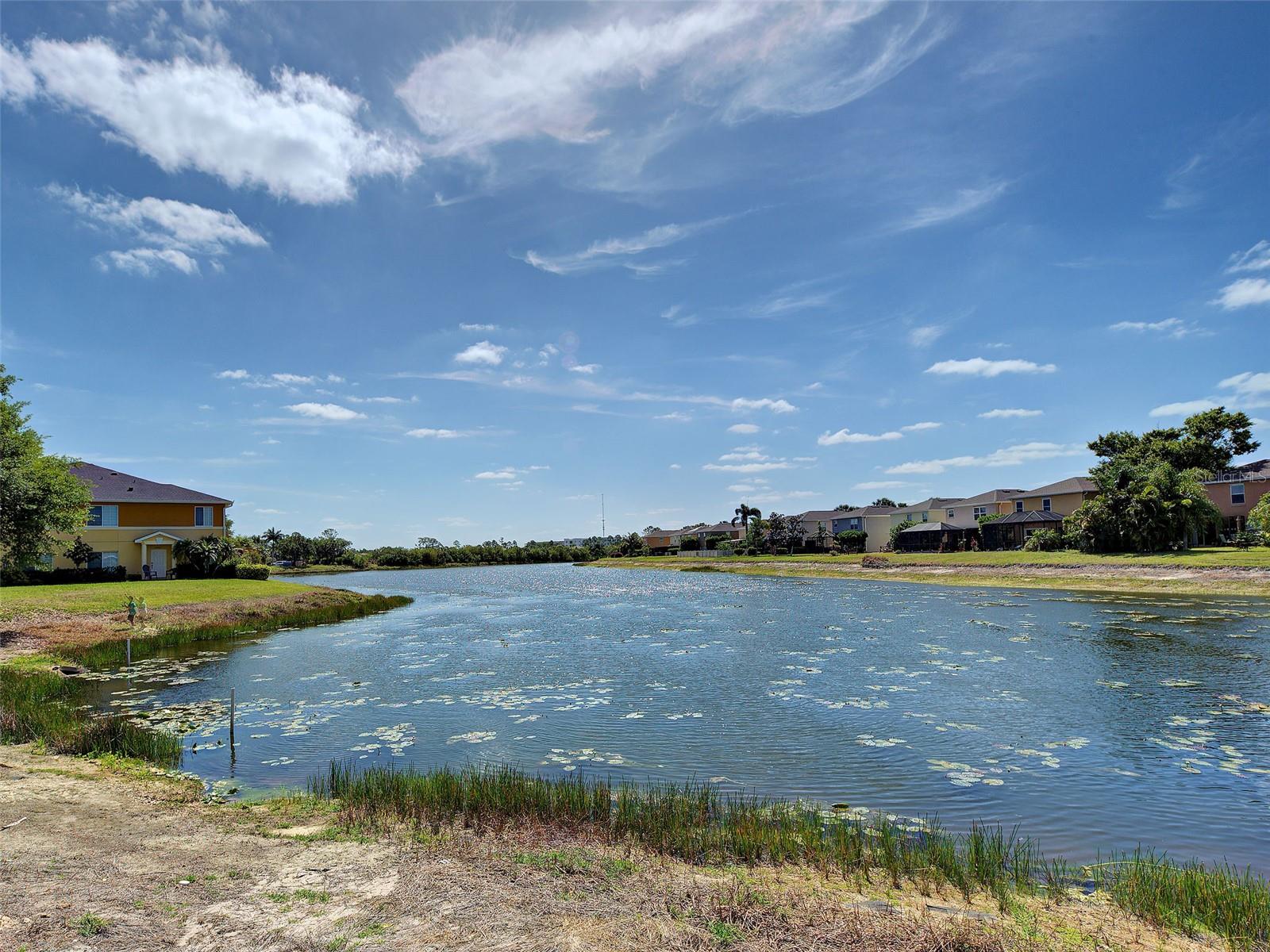 STONEYBROOK AT VENICE - Residential