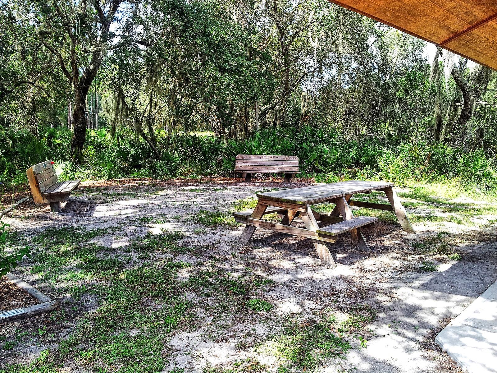 ARIELLE ON PALMER RANCH SEC 1 - Residential