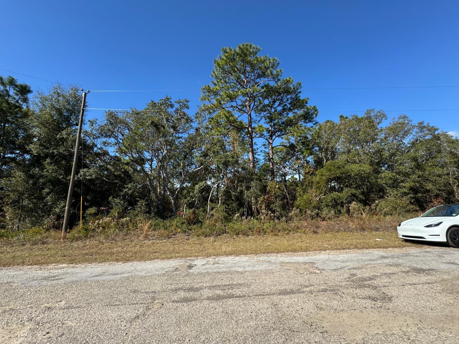 CITRUS SPGS UNIT 06 - Land