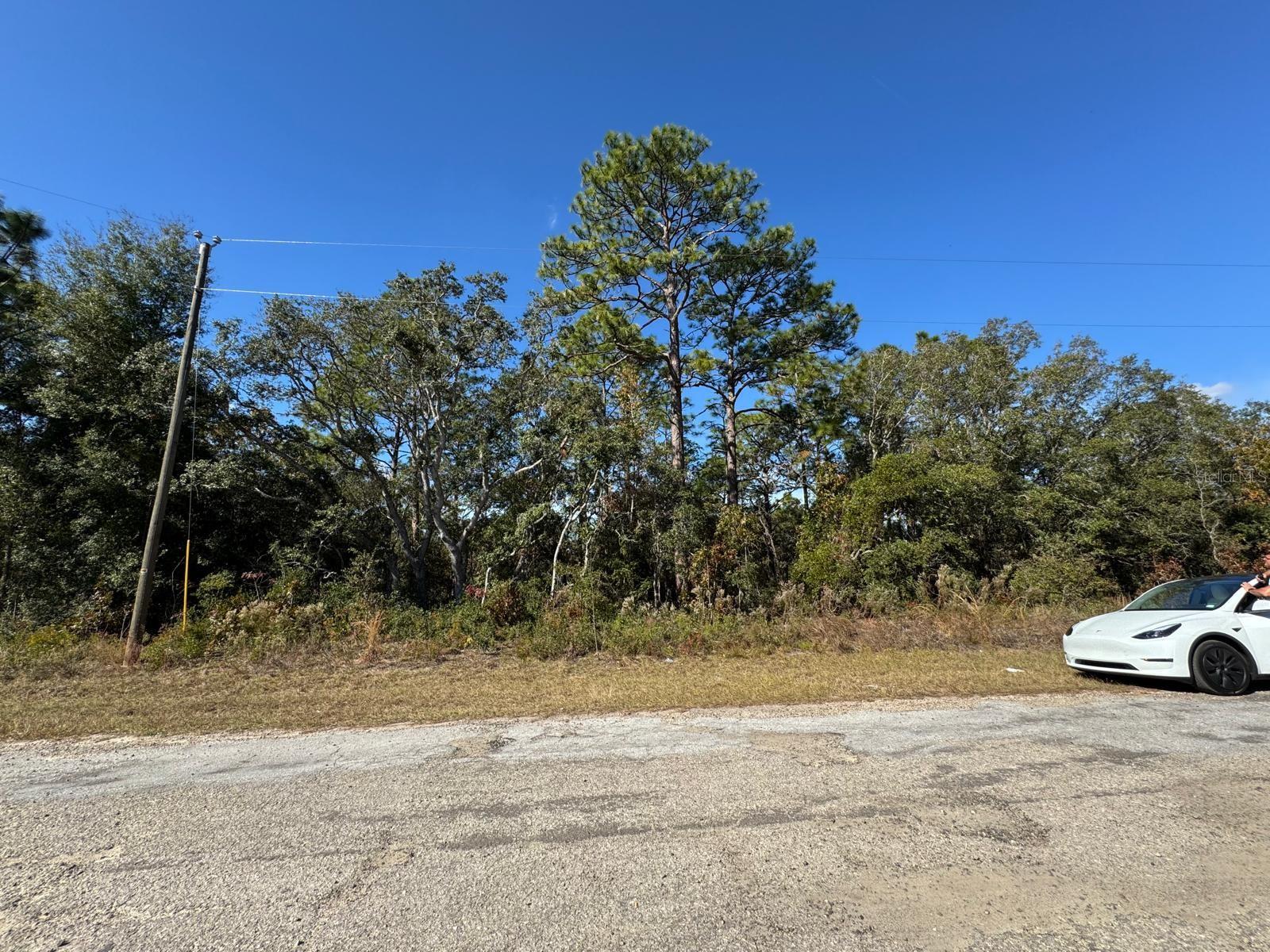 CITRUS SPGS UNIT 06 - Land