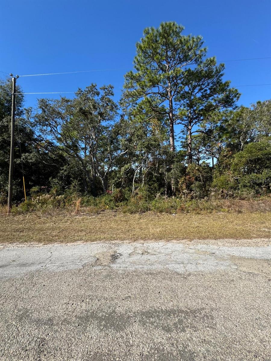 CITRUS SPGS UNIT 06 - Land