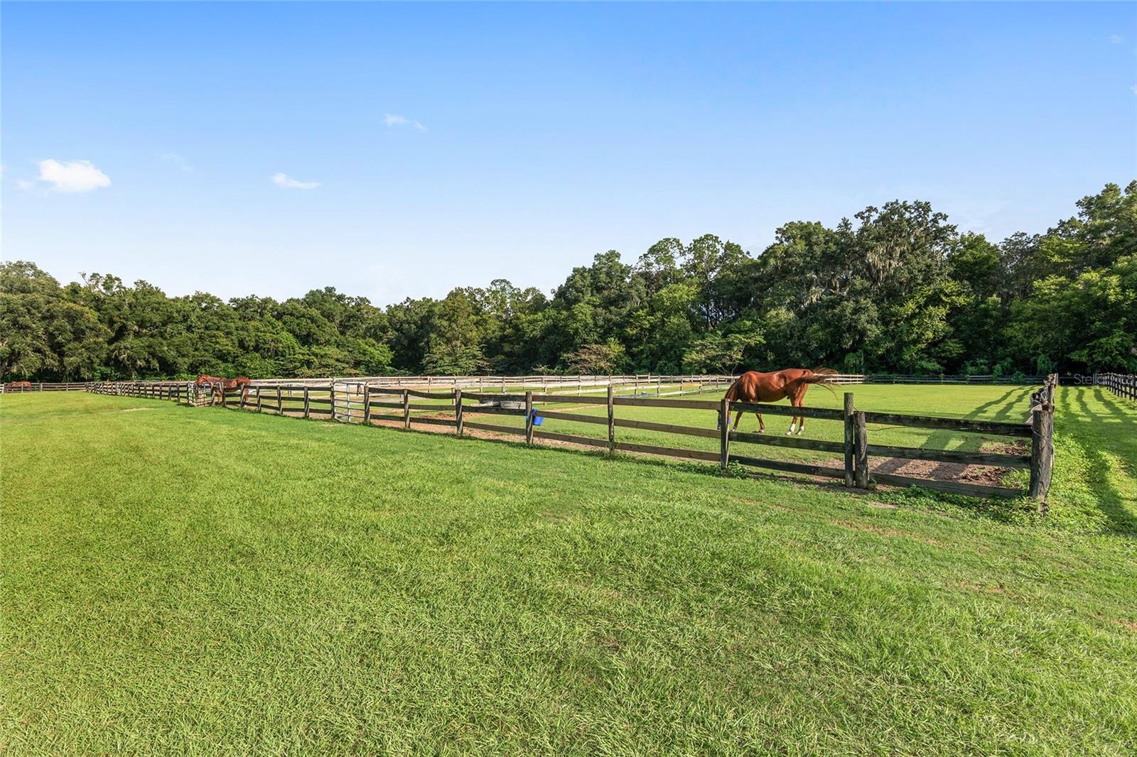 ARCHER FARMS - Residential