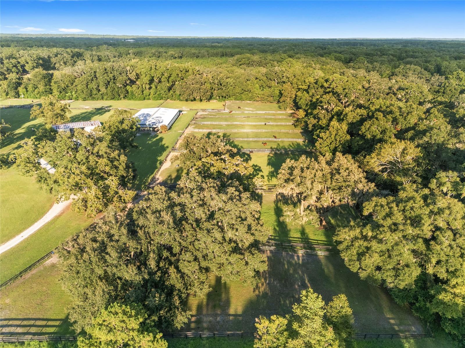 ARCHER FARMS - Residential