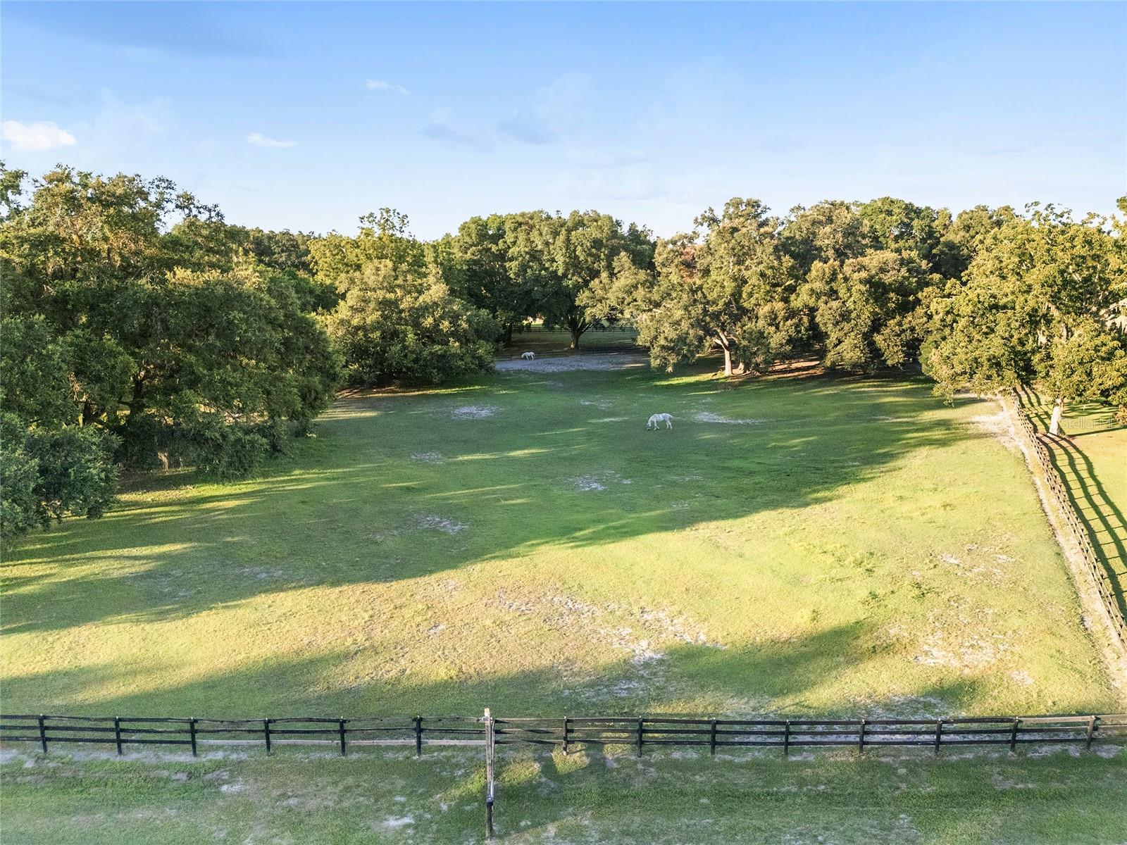 ARCHER FARMS - Residential