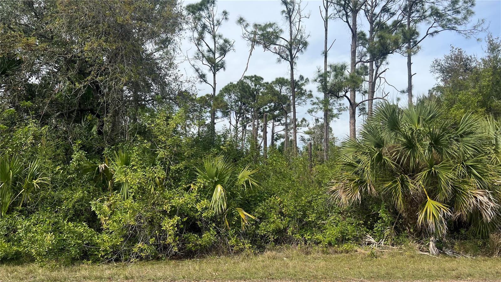 Buildable lot ready for development! Electricity and Water nearby. While about 30 minutes from the Atlanta Braves Spring Training complex, this lot is in a prime location to benefit from North Port’s increasing demand. Just a 5-minute drive to I-75, offering easy access for travel. This land is also close to shopping, restaurants, and entertainment. No HOA or deed restrictions! Come and check it out. Perfect for building your dream home, a vacation spot, or even an investment property!