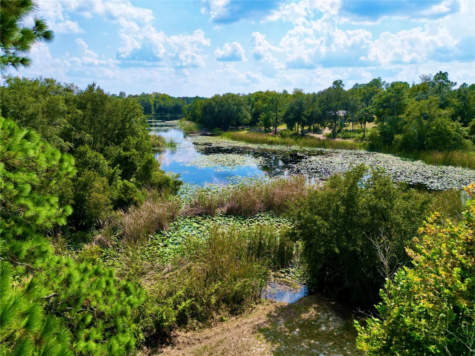 OCKLAWAHA HILLS - Residential